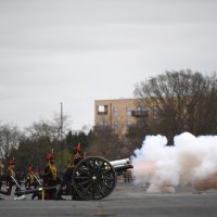 Plotuni u čast princa Philipa