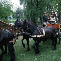 Kočija princa Philipa