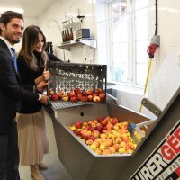 Princeza Sofia i princ Carl Philip