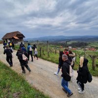 Wine&Walk Vivodina