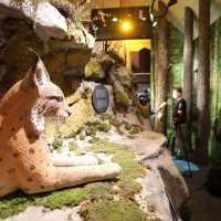 Centar za velike zvijeri u Staroj Sušici posvećen vuku, medvjedu i risu