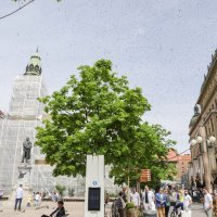 Najezda pčela u Zagrebu