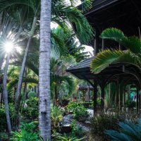 Privatni otok Calivigny