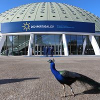 Socijalni samit EU-a u Portu, Portugal