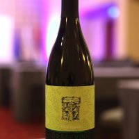 Izborni stožer Domovinskog pokreta