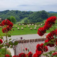 Pjenušavi zagorski doručak