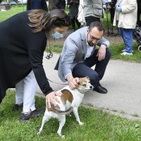 Tomislav Tomašević