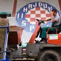 Uređenje travnjaka Hajdukova stadiona na Poljudu
