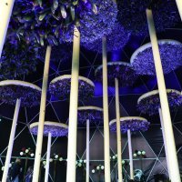 Sajam cvijeća Floraart na zagrebačkom Bundeku