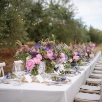 Predstavljanje kolekcije IKona