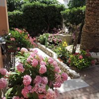 Apartmani Neda