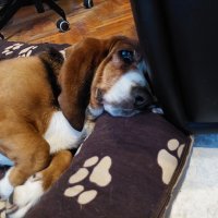 Samsung Galaxy A72 primjeri fotografija