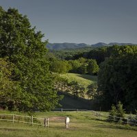 Litice oko Virovitice