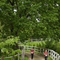 Litice oko Virovitice