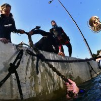 Međunarodna akcija čišćenja podmorja