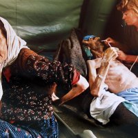 Žrtve Ratka Mladića