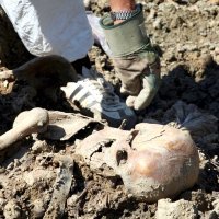 Žrtve Ratka Mladića