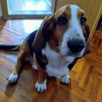 Nokia X20 primjeri fotografija