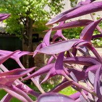 Nokia X20 primjeri fotografija