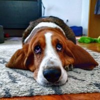 Nokia X20 primjeri fotografija