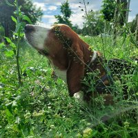 Samsung Galaxy A52 primjeri fotografija