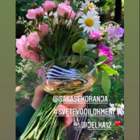 Jelena Veljača i Vito Turšić