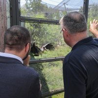 Tomislav Tomašević u ZOO-u