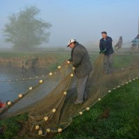 Izlov na ribnjaku Sišćani