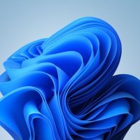 Windows 11 pozadinske slike