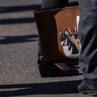 Champ i Major našli su se čak i na torbi Jill Biden