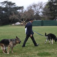 Psi predsjednika Bidena