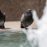 Gradska svakodnevica u centru grada na prvi dan ljeta