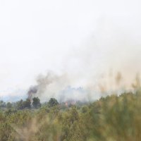 Šibenik: Vatrogasci se uz pomoć kanadera bore sa požarom