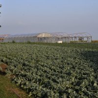 Tuča poharala Požegu i okolicu