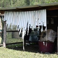 Posljedice nevremena u okolici Požege
