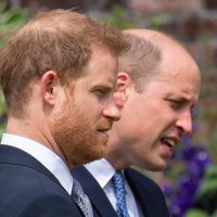 Otkrivanje kipa princeze Diane