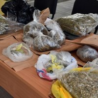Policija u Slavonskom Brodu pronašla više od 5 kilograma marihuane