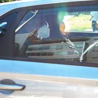 Patrik Šegota, pretres stana