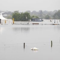 Poplava u Nizozemskoj
