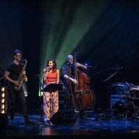 Antonio Sánchez Special Quartet