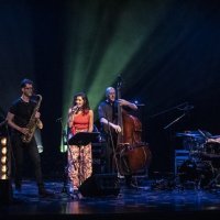 Antonio Sánchez Special Quartet