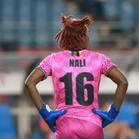 Nizozemska - Zambija