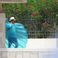 Roger Federer s obitelji i prijateljima na Malom Lošinju