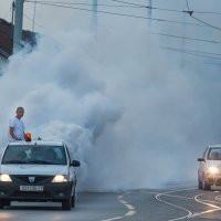 Tretiranje komaraca u Osijeku