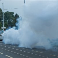 Tretiranje komaraca u Osijeku