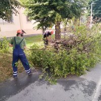 Posljedice snažnog i kratkotrajnog vjetra u Osijeku