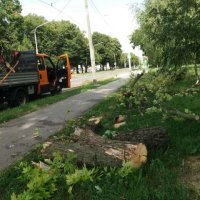 Posljedice snažnog i kratkotrajnog vjetra u Osijeku