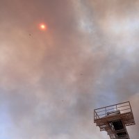 Požar kod Segeta Gornjeg