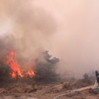 Požar kod Segeta Gornjeg