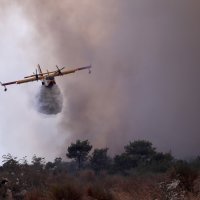 Požar kod Segeta Gornjeg